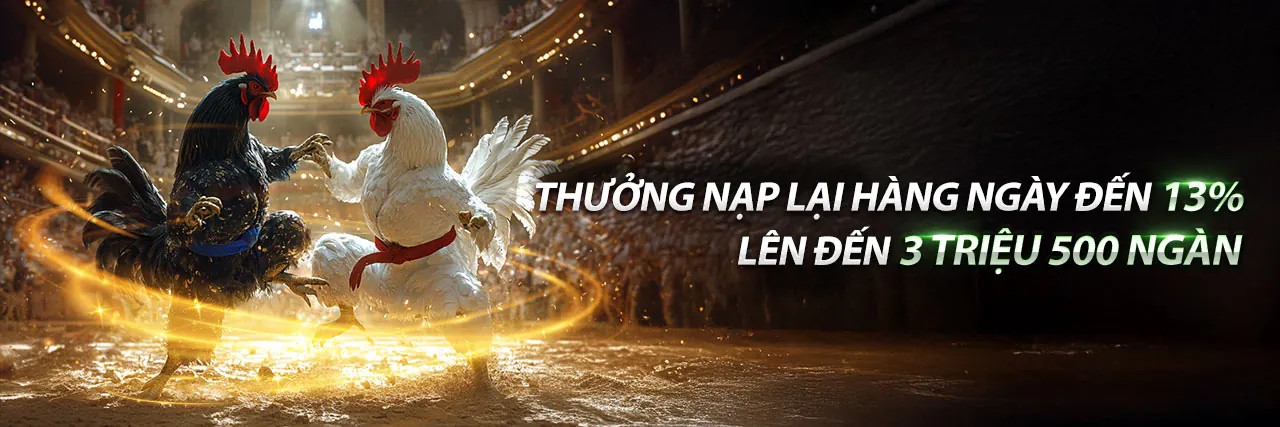 Tổng quan về nền tảng 567win